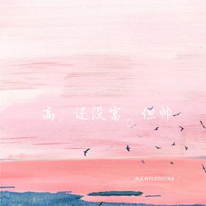 高，还没富，但帅 (1.1加速版)