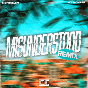 Misunderstood (Remix)