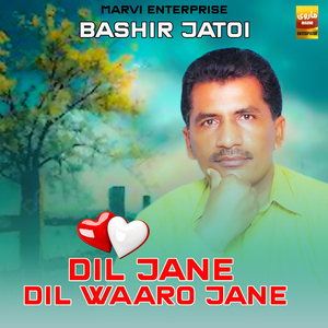 Dil Jane Dil Waro Jane