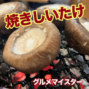 焼きしいたけ