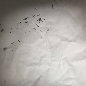 12 みすぼらしい家