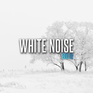 White Noise 1800 Hz, Pt. 17