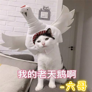 巴西电纯电爬梯