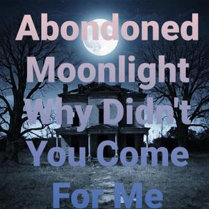 Abandoned Moonlight Why Didn't You Come For Me
