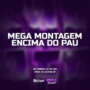 MEGA MONTAGEM ENCIMA DO PAU