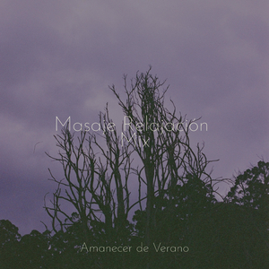 Colores Dorados al Amanecer