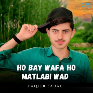 Ho Bay Wafa Ho Matlabi Wad