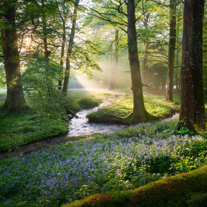 Comienzan Los Ritmos De Reflexión
