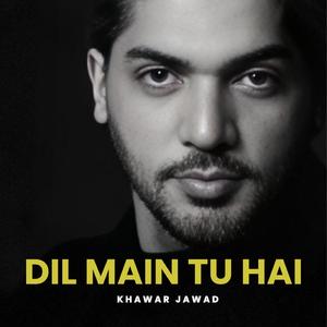 DIL MAIN TU HAI