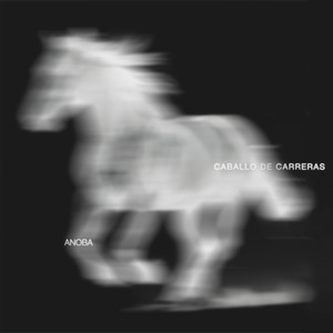 caballo de carreras