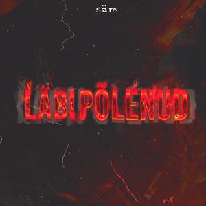 LÄBIPÕLENUD