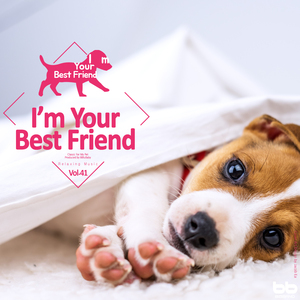 Schubert: Moment Musical No.3 In F Minor Op.94 D.780