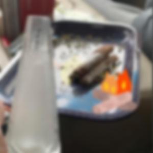 JAYLO (Beautiful Day)