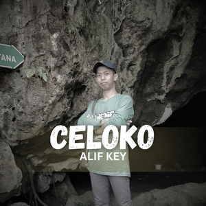 Celoko