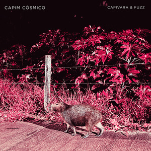 Capivara & Fuzz