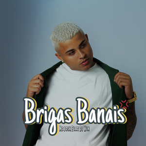 Brigas Banais