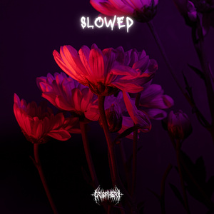 Sulma (Slowed + Reverb)