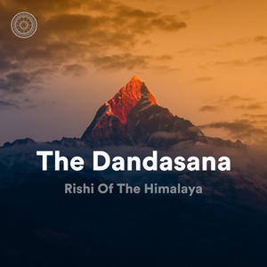 Chaturanga Dandasana