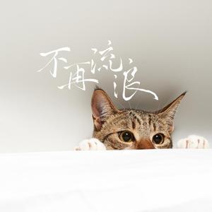 不再流浪（翻自 周深）