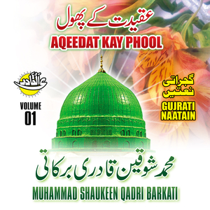 Ya Nabi Mustafa Salam Aap Par