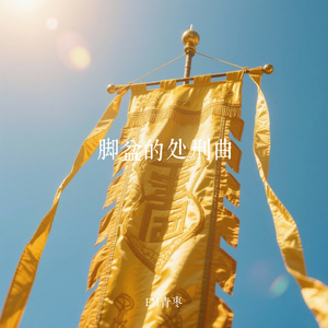 脚盆的处刑曲