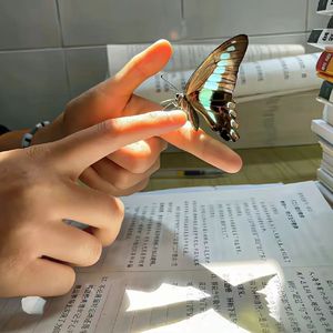 限时的无限爱意