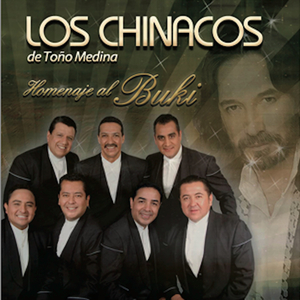 Si No Te Hubieras Ido