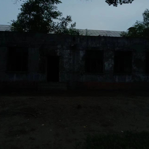 我太笨 (不知名烟嗓版)