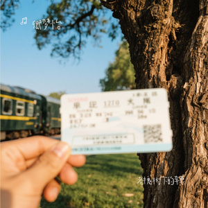 老槐树下的车票