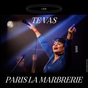TE VAS (feat. Los DJs Timberos) (Live)