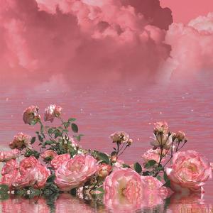 给电影人的情书