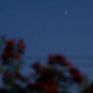 在深秋（温柔女声版）（翻自 阿悄）