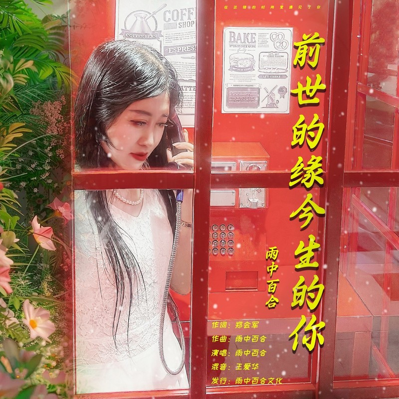 前世的缘今生的你封面