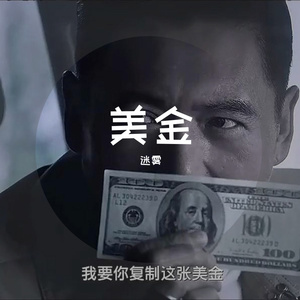 我要你复制这张美金