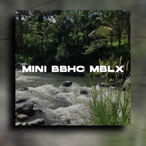 MINI BBHC