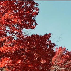 MJ (feat. TYDE, Y.K.Y.K, Yung Bello & Monée)