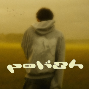 polish