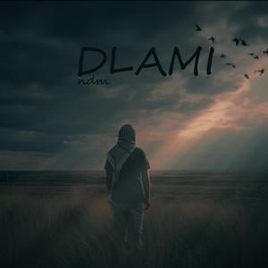 DLAMI