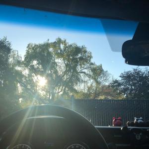 下雨的时候我看雨看你又看雨