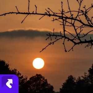 回忆囚牢中的守望