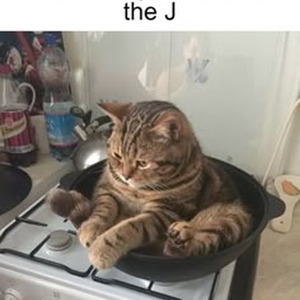 She's Freaky (sped up)