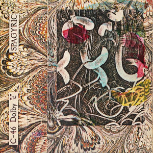 Putting Legs on a Snake (Part I)