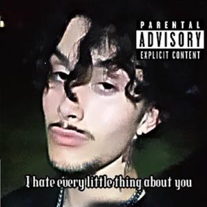 I Hate Every Little Thing About You