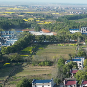 给我带来许多感动