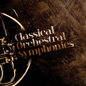 Symphony No. 9 in E Minor, Op. 95, B. 178, "From the New World" : III. Scherzo. Molto vivace