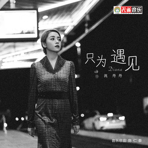 只为遇见 (伴奏)