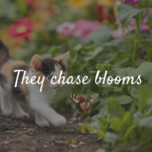 Mirror Conversations