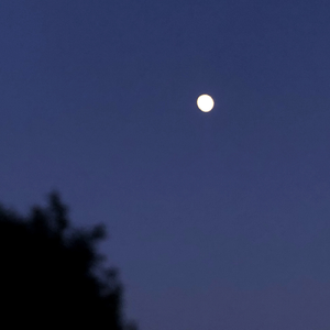 别怕变老（cover:艾热）