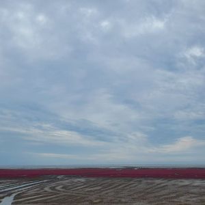 孤独的人和孤独的她