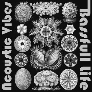 Bassfull Life (Instrumental)